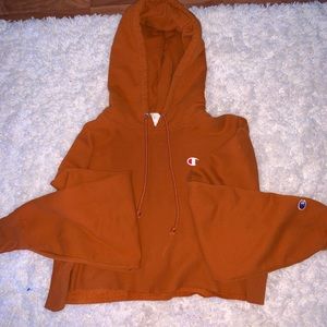 Oversized cropped champion hoodie